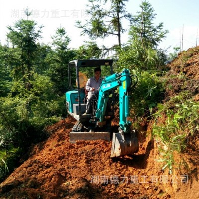 山西德力重工DL15-8挖掘機,園林挖掘機，微型挖掘機，迷你挖掘機