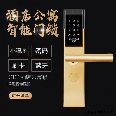 C101 酒店公寓密碼鎖 家用防盜門鎖智能電子鎖 手機開門