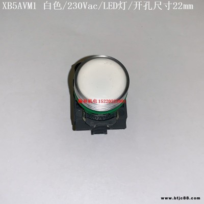 XB5AVM1  XB5AVM3 XB5AVM4 XB5AVM5 XB5AVM6 施耐德指示燈 230Vac/LED燈