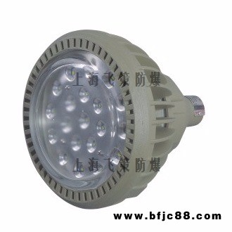 上海飛策防爆電器BCd6310防爆 節(jié)能LED燈