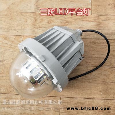 NFC9185A海洋王LED平臺燈36W48W廠房過道工礦吸頂三防燈BPC8765防爆燈廠家