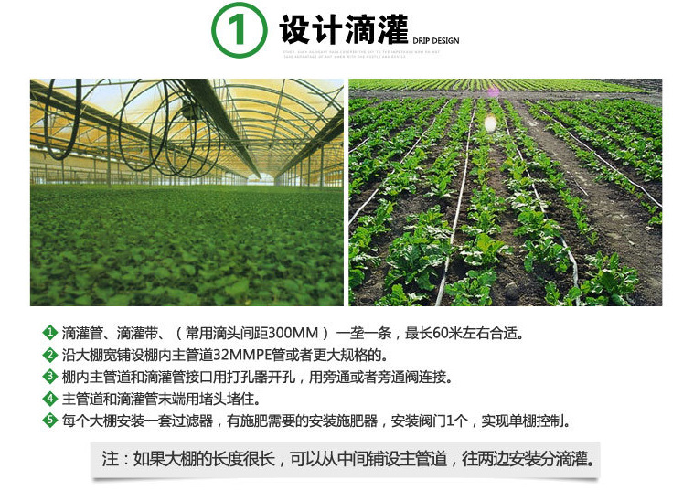 上海大棚溫室灌溉25PE管 大棚噴灌PE管 蔬菜噴灌設備廠家示例圖28