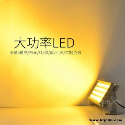 古建筑亮化燈具 48W金黃LED投光燈 非標定制LED投光燈   酒店亮化LED投射燈    光臣照明LED投光燈