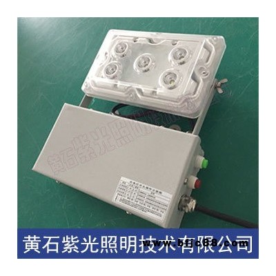 GAD605-JGAD605-J固態應急照明燈NFC9178LED應急燈