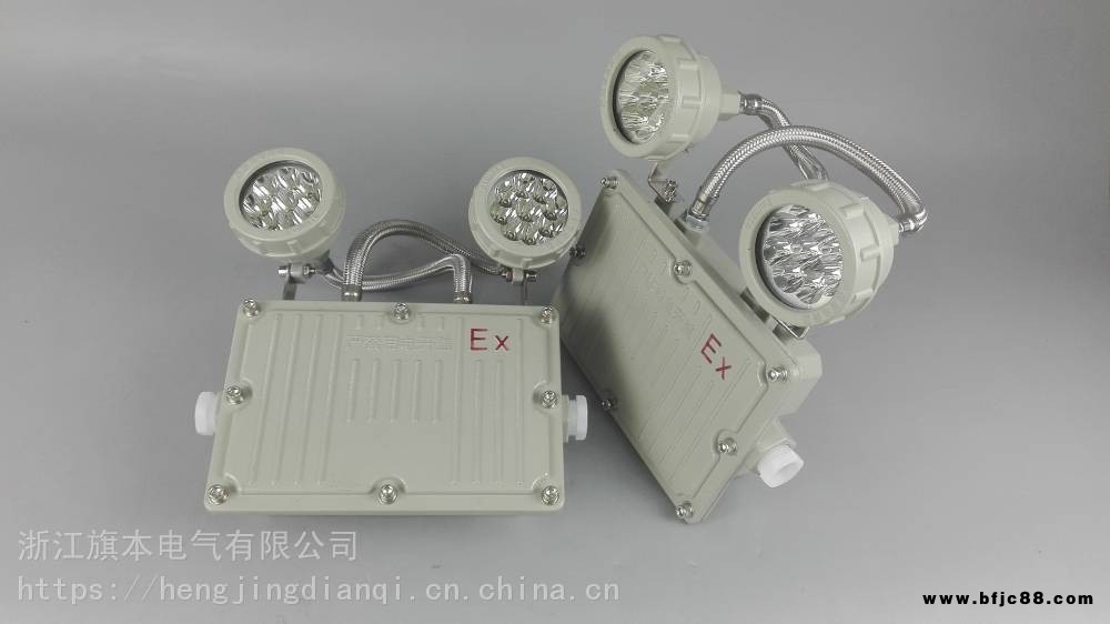 自帶蓄電池防爆型應(yīng)急照明燈雙頭2X3W 應(yīng)急燈2X5W