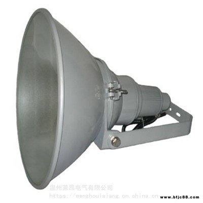 NTC9200-1000W防震型投光燈大功率氣體放電燈