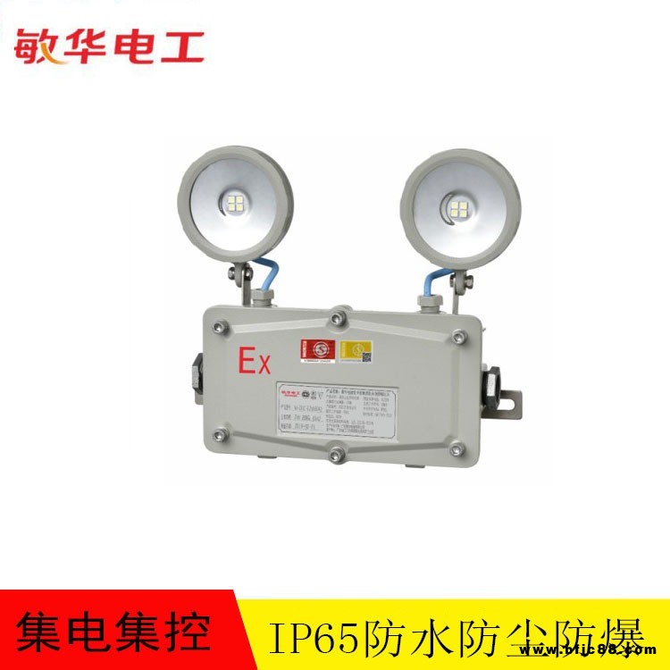 敏華集電集控 智能A型IP65防水防塵應(yīng)急燈 防爆雙頭燈應(yīng)急照明燈 M-ZFJC-E2W6042