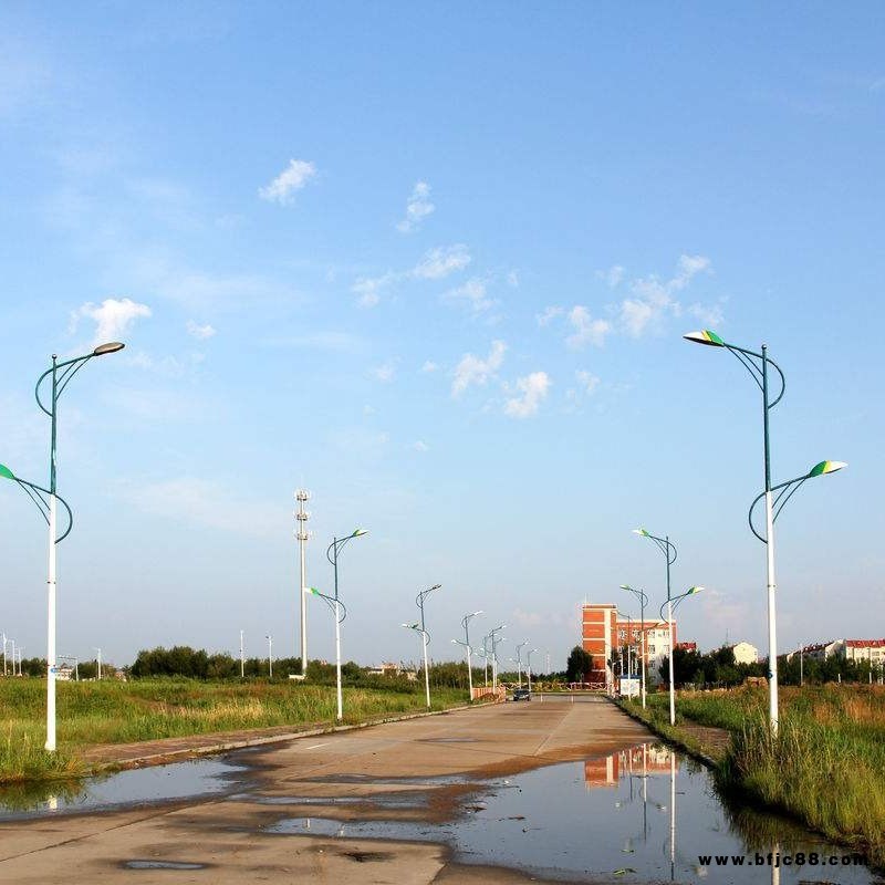 亳州太陽能路燈廠家價格-路燈定制-高桿燈-景觀燈-庭院燈