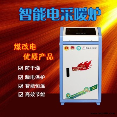 廠家 生產(chǎn)新型環(huán)保電壁掛爐 家用節(jié)能電采暖爐 落地式采暖爐 銳陽