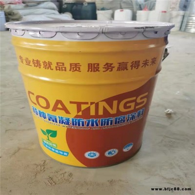 水池防水防腐涂料 可噴涂滾涂機(jī)械強(qiáng)度高 氰凝防水防腐涂料環(huán)保供應(yīng) 瑞通