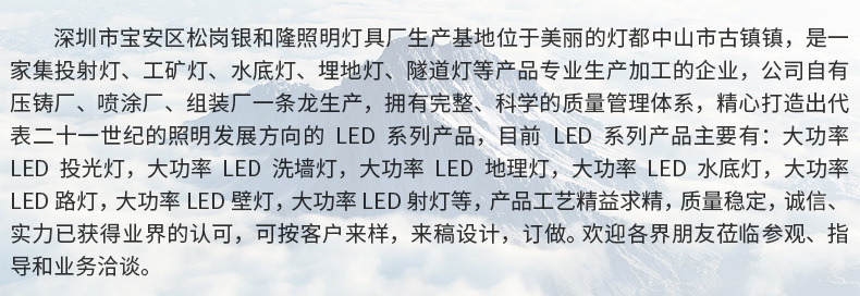 廠家直銷高品質(zhì)LED大功率 10W新款背包投光燈  泛光燈外殼示例圖15