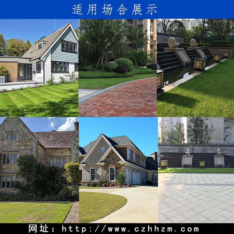 太陽能景觀燈高桿燈草坪燈路燈海豚燈公園園林小區別墅住宅街道示例圖8