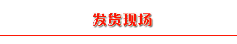 SS工程建筑施工升降機 雙吊籃垂直提貨機 江西湖南云南工地采購示例圖23