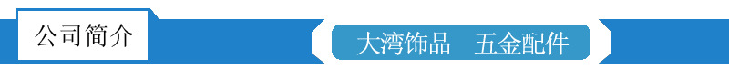 供應東莞女包鏈條 新款環保箱包鐵鏈子 飾品鏈條批發定制示例圖8