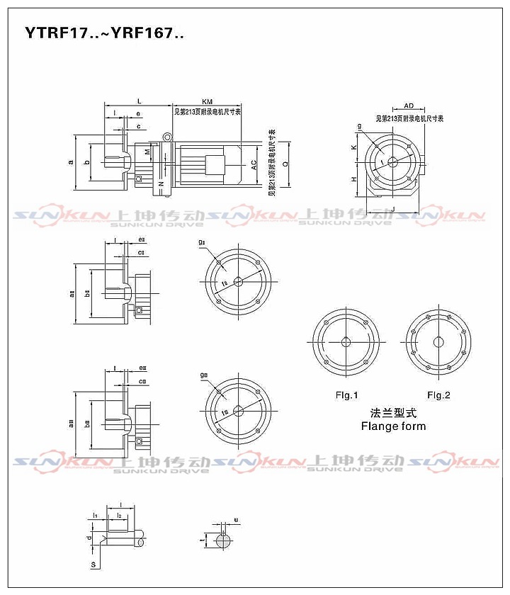 廠家直銷(xiāo)硬齒面 齒輪減速機(jī)R17-R127減速比1.3-289.74 扭矩大示例圖17