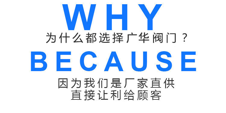 不銹鋼卡套式直通單向閥 H91X-160卡套式止回閥 彈簧式逆止閥廠家示例圖10