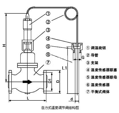 自力式溫度調節閥_結構圖