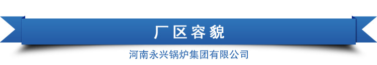 天然氣暖氣爐小型燃煤蒸汽鍋爐甲醇燃料采暖爐廠家直銷示例圖11