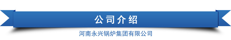 天然氣暖氣爐小型燃煤蒸汽鍋爐甲醇燃料采暖爐廠家直銷示例圖29