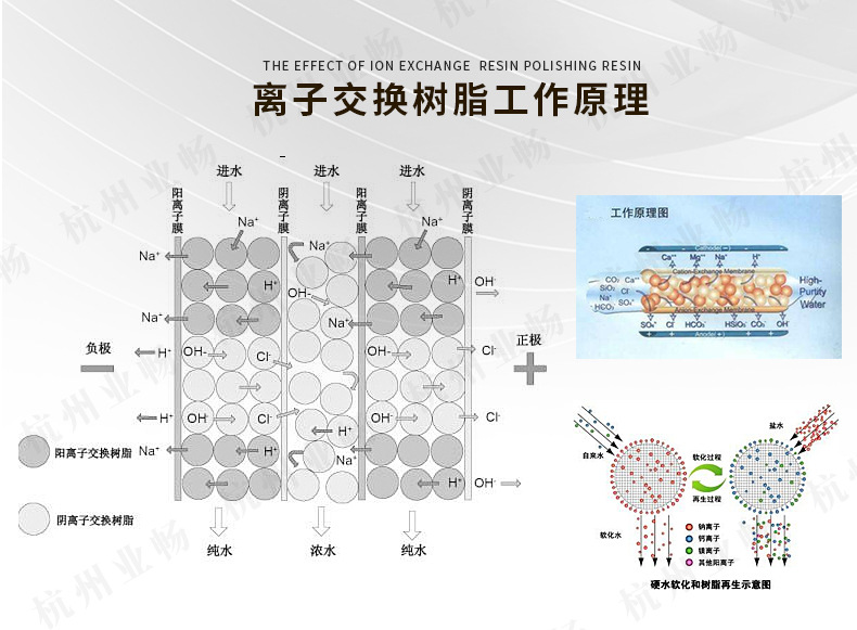 樹脂通用790_03.jpg