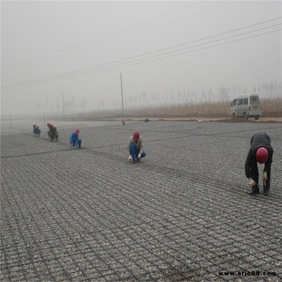 雙向粘焊土工格柵  源頭廠家   凸節點鋼塑格柵  鎖扣式凸節點格柵 加筋格柵 現貨銷售  質優價廉  潤德