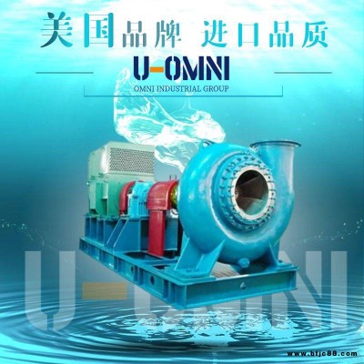 進口石灰漿液泵-進口渣漿泵-美國歐姆尼U-OMNI