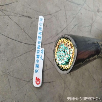 NH-KYJV22 銅芯氟塑料絕緣阻燃及聚氯乙烯護套鋼帶鎧裝耐火控制電纜 長峰電纜專業(yè)生產(chǎn)