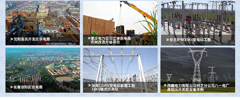 TBP-35KV/310三柱四柱過電壓保護(hù)器40.5KV組合式防雷過電壓保護(hù)器示例圖22